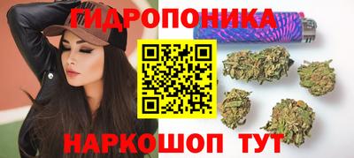 сатива Заводоуковск