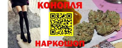 сатива Заводоуковск