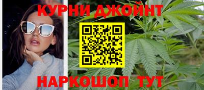 сатива Заводоуковск