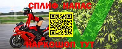 сатива Заводоуковск
