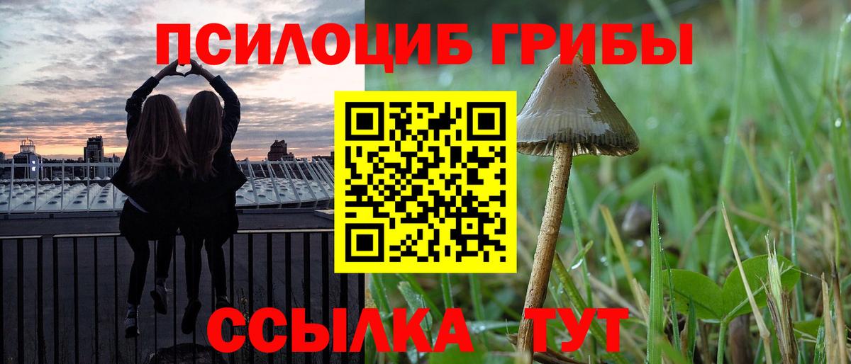 Галлюциногенные грибы Magic Shrooms Кушва
